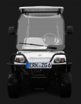 EBLIZZ Modell Zermatt. 48V AC-Motor, 40Km/h